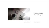 FLYING BLUES - CARNET D'IMAGES