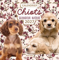 Calendrier Chiots grandeur nature 2027