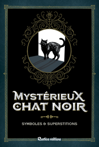 Mystérieux chat noir