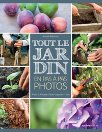 Tout le jardin en pas à pas photos