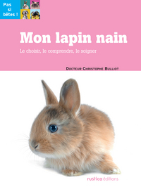 Mon lapin nain