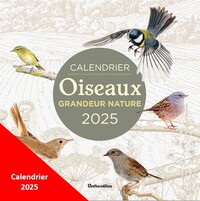 Calendrier Oiseaux grandeur nature 2026