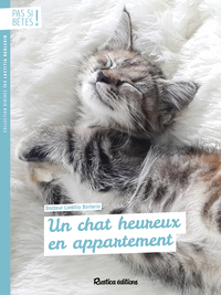 Un chat heureux en appartement