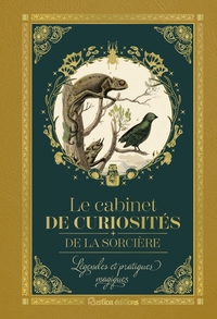 Petit précieux Cabinet de curiosités de la sorcière