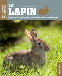 Le lapin