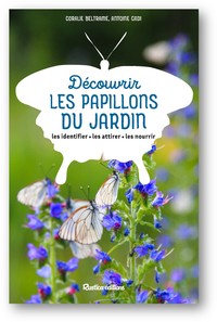 Découvrir les papillons du jardin