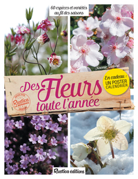 DES FLEURS TOUTE L'ANNEE