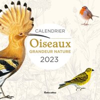 Calendrier Oiseaux grandeur nature 2023