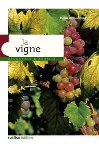 La vigne