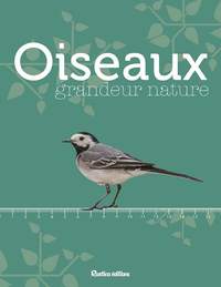 OISEAUX GRANDEUR NATURE - IDENTIFIER FACILEMENT LES OISEAUX DU JARDIN !