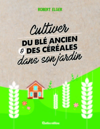 CULTIVER DU BLE ANCIEN ET DES CEREALES DANS SON JARDIN A PARTIR DE 50 M2