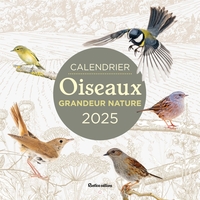 Calendrier 2025 oiseaux grandeur nature