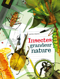 Insectes grandeur nature