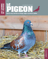 Le pigeon