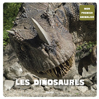 MON PREMIER ANIMALIER - LES DINOSAURES (COLL. MON PREMIER ANIMALIER)