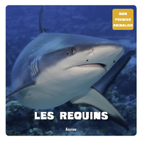 Mon 1er animalier - Requins