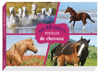 MES 40 CARTES POSTALES DE CHEVAUX