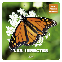 Mon 1er animalier - Les Insectes