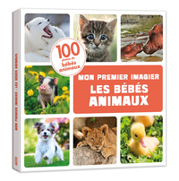 MON PREMIER IMAGIER - LES BEBES ANIMAUX 100 PHOTOS