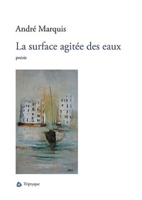 LA SURFACE AGITEE DES EAUX