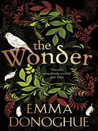 The Wonder*