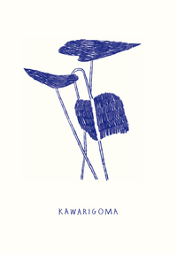 KAWARIGOMA