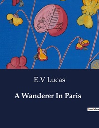 A Wanderer In Paris