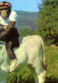 XXe ateliers internationaux du Frac des Pays de la Loire