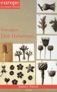 GEORGES DIDI HUBERMAN N 1069 MAI 2018