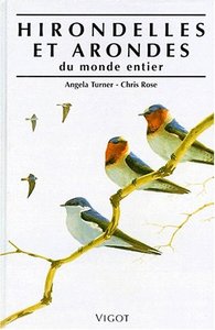 Hirondelles et arondes