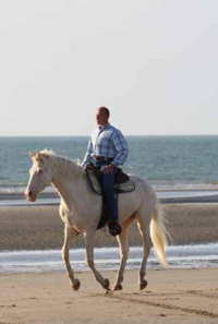 ETHOLOGIE EQUINE - 90 CONSEILS