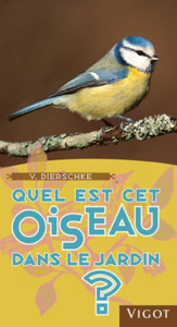 Quel est cet oiseau dans le jardin ?