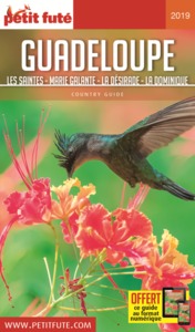 GUADELOUPE MARIE-GALANTE - LES SAINTES - LA DESIRADE - LA DOMINIQUE 2019 PETIT F