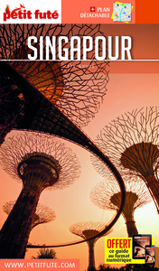 SINGAPOUR 2017 PETIT FUTE + PLAN + OFFRE NUM