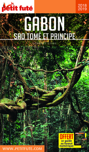 GABON - SAO TOME ET PRINCIPE 2018-2019 PETIT FUTE + OFFRE NUM