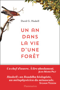UN AN DANS LA VIE D'UNE FORET
