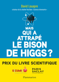 MAIS QUI A ATTRAPE LE BISON DE HIGGS? - ... ET AUTRES QUESTIONS QUE VOUS N'AVEZ JAMAIS OSE POSER A H
