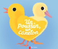 UN POUSSIN, UN CANETON