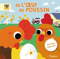 DE L'OEUF AU POUSSIN - POP UP