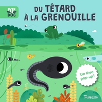 DU TETARD A LA GRENOUILLE - POP UP