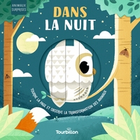 Dans la nuit