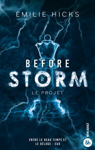 Before Storm - T2 : Le projet