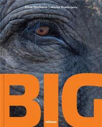 BIG A PHOTOGRAPHIC ALBUM OF THE WORLD'S LARGEST ANIMALS /ANGLAIS/ALLEMAND