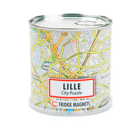DISPLAY CITY PUZZLE LILLE 100 PIECES MAGNETIQUES (
