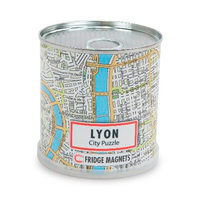 DISPLAY CITY PUZZLE LYON 100 PIECES MAGNETIQUES (4