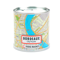 DISPLAY CITY PUZZLE BORDEAUX 100 PIECES MAGNETIQUE