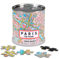 DISPLAY CITY PUZZLE PARIS 100 PIECES MAGNETIQUES (