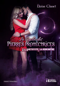 Le cycle des Pierres Protectrices Tome 2.5