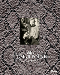 SIGMAR POLKE ALIBIS 1963-2010 /ANGLAIS