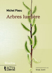 ARBRES LUMIERE